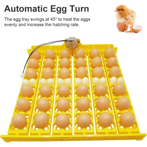 Multifunction Plastic Egg Tray Automatic Turn Egg for Chicken Ducks Quail Incubator Brooder Accessory