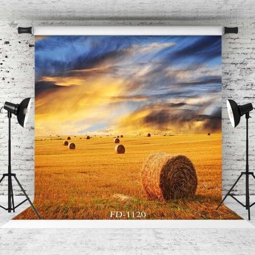 Barn Sunset Photographic Background For Photo Shoot Children Kids Baby Vinyl Cloth Printed Photo Backdrop Photophone