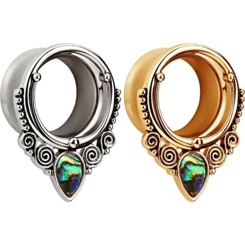 1 Pair Gauges 8-25mm Stainless Steel Screw Shell Ear Plugs Flesh Tunnels Stretchers Expander For Women Men Punk Body Jewelry