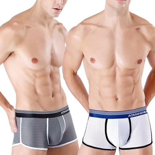 Ice Silk Mens Underwear Soft Mesh Breathable Sexy Boxer Shorts Penis Mesh Sport Panties Pouch Bag Underpants Man Gay Underwear