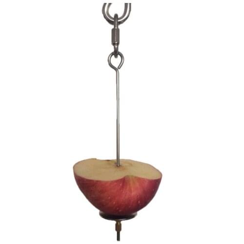 New Bird Toy Skewer Fruit Spear Hanging Holder Pet Parrot Parakeet Small Animal Stainless Steel Parrot Stainless Steel Toy Fork