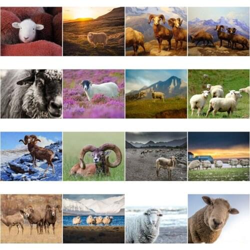 Sheep 5D Diy Diamond Painting Full Square Round Diamond Diamond Animals Embroidery Home Decor Gifts Cross Stitch Mosaic Art
