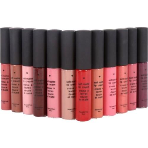 Lip gloss New Lipstick Matte Waterproof Velvet Lip Stick 12 Colors Sexy Red Brown Pigments Makeup Matte Beauty lipgloss d1