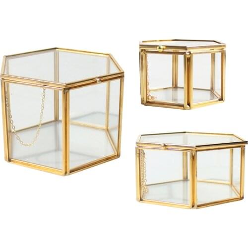 Modern Hexagon Clear Glass Brass Geometric Terrarium Fern Moss Air Plant Display Holder Case Art Home Living Garden Decors