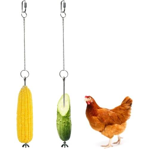 Quality Pet Parrots Birds Food Holder Support Stainless Steel Fruit Spear Stick Meat Fruit Vegetable Skewer Birds Feed Supply