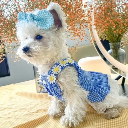 Puppy Cat Dress Wedding Tutu Lace Skirt Girl Skirt Blue Plaid White Flower