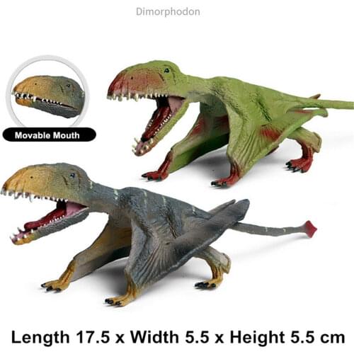 Pterosaur Dinosaur Model Animal Collector Dimorphodon Figure Decor Toy Kid Gift Simulation Figurines Educational Model