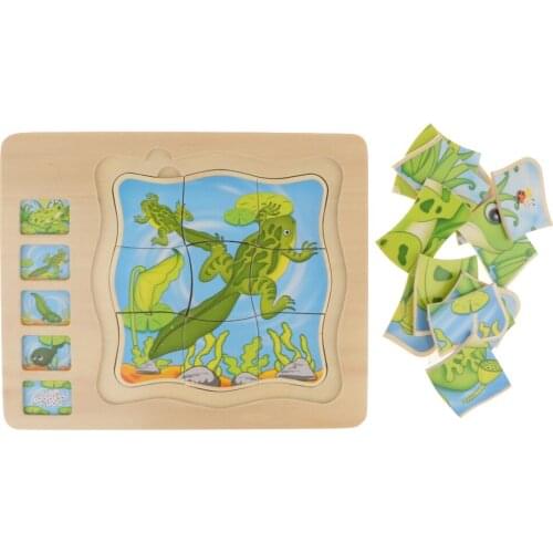 The Frog Growing Story - Puzzle Toy Kids Learning Toy Family Teaching