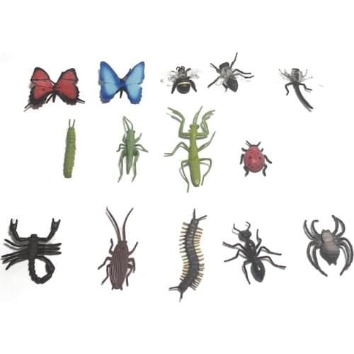 Insects Models for Kids Children Language Games Montessori Materials Preschool/ Homeschooling Educational Tools Early Learning