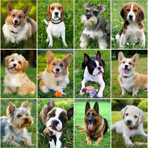 Evershine 5D DIY Diamond Painting Dog Animal Cross Stitch Embroidery Full Square Round Mosaic Art Rhinestone Picture Home Decor