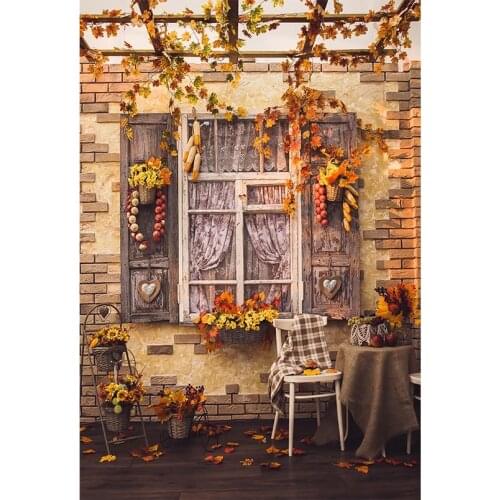 Autumn Photography Backdrops Courtyard Vintage Window Backgrounds for Photo Studio Portrait Photo Shoot Vinyl Cloth Customized
