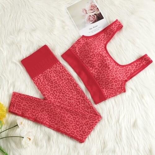 CHRLEISURE Summer Outfits Leopard Print Beauty Back Bra 2 Piece Sets Womens Outfits Kilou Autumn Two Piece Set