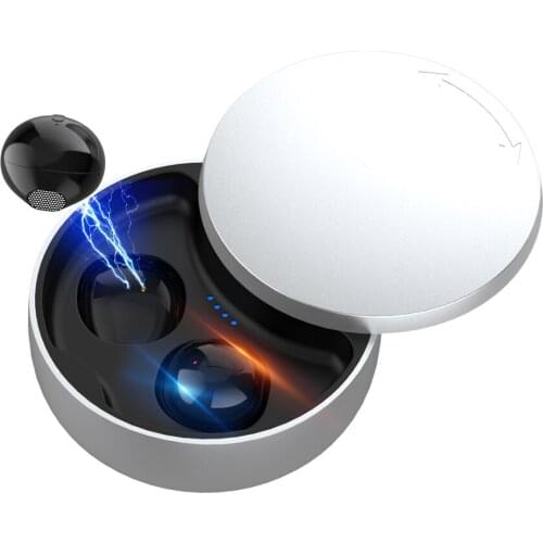 Support Dropship X21S TWS Earphone Bluetooth 5.0 Mini Headsets With Microphone Hidden Sport Wireless Earphones Invisible Earbuds