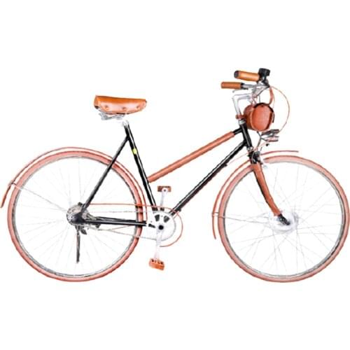 Solomo Ladies Classic Holiday Hybrid Electric Bicycle Road New City Bike 36V 500W 10AH