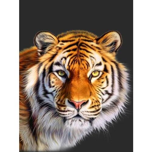 5D Diamond Painting Animals Tiger Diamond Embroidery Diy Full Square Diamond Mosaic Diamond Paint Home Decoration