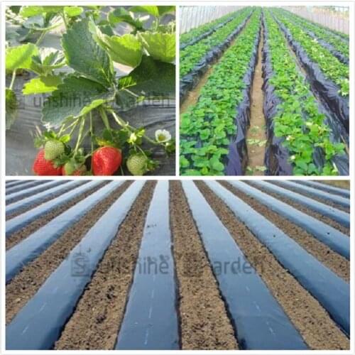 Black Agricultural Shade Film 1x50Meters Strawberry PE Film Garden Flower Greenhouse Plastic Mulch Film 0.008mm Thickness