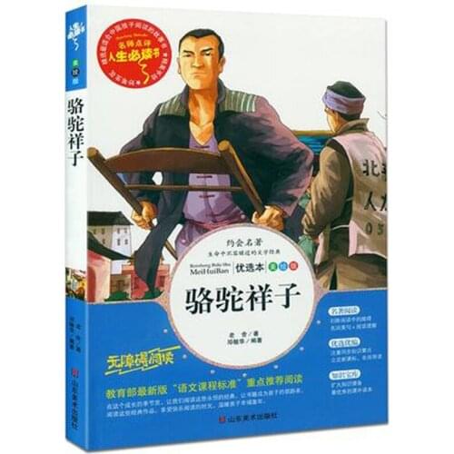 Chinese Characters Book The Most Beautiful Learn To Read Book for Kids Children Baby,Early Educational Book