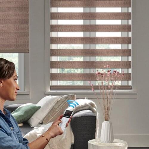 Remote Control Electric Zebra Shades Imitation Linen Blinds Customized Size Compatible with Alexa Google Home via Broadlink