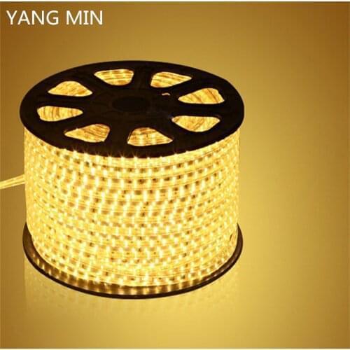 YNAGMIN FREE SHIPPING 50M/roll High Voltage AC110V 220V Waterproof LED Strip Light SMD 2835 LED Strip 60led/m 5w/m