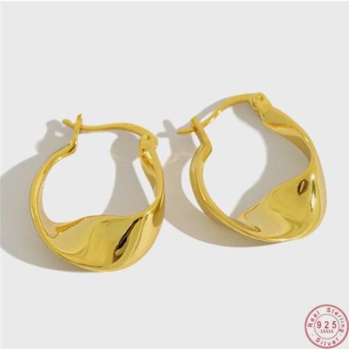 925 Sterling Silver European Geometric Twisted Stud Earrings Women Punk Hip Hop Unique Design Party Jewelry Friendship Gift