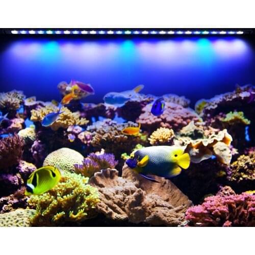 HOUYI LED Plant Lamps