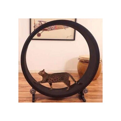 Pet cat treadmill, cat exercise fitness equipment, cat large roller treadmill