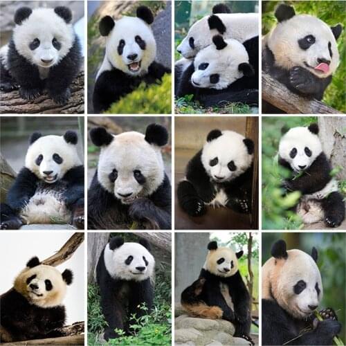 DIY Panda 5D Diamond Painting Full Round Drill Animal Diamond Embroidery Cross Stitch Kits Mosaic Wall Art Home Decor