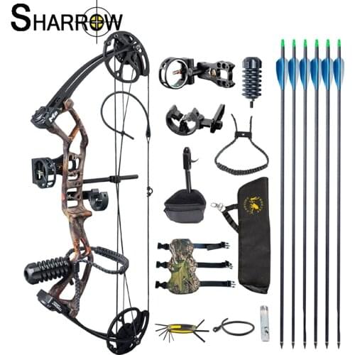 1 Set Archery Bow and Arrow 30-40lbs Compound Bow Crossbow With 6pc Carbon Arrow Professional Complete Accessories for Hunting