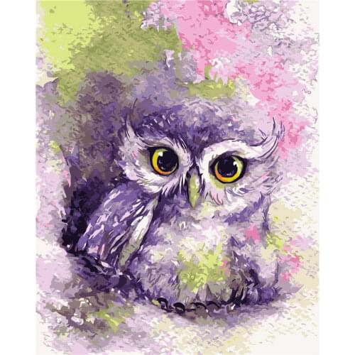 Owl Animal DIY Digital By Numbers Modern Wall Art Canvas Painting Unique Gift Home Decor 40x50cm