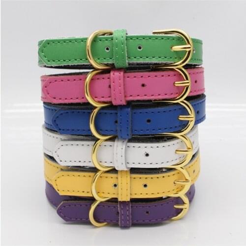 Corolful Designer New PU Leather Soft Padded Small Dog Collar Pet Puppy Cat Perro Collars with Strong Buckle for dogs Pitbull