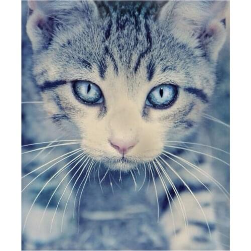 Diy diamond painting cross stitch kit Diamond embroidery cute blue eye cat 3D square Handmade mosaic full drill rhinestone paste