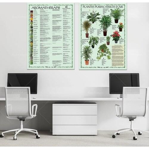 Aromatherapy-28 kinds of essential oil poster Air purification plant art poster print