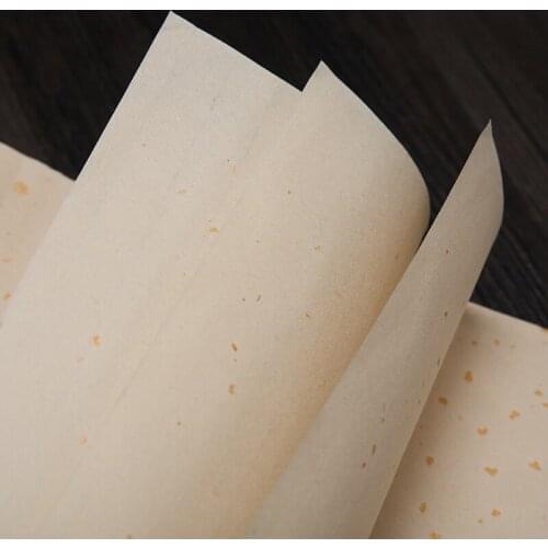 Chinese Raw Xuan Paper Thicken Xuan Paper 50sheets/lot Beginner Chinese Calligraphy Special Xuan Paper with Dragon Pattern