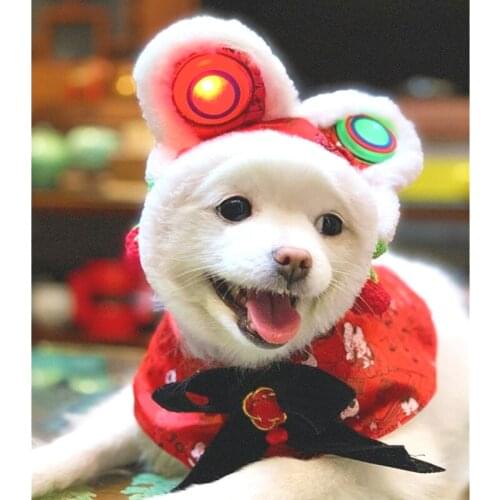 Headwear For Pet Cats And Dog Pet New Year Funny Patent Cat And Dog Universal Hat Set Teddy Small And Medium Terry Warm Set Cute