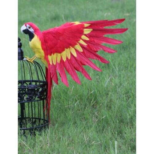 Real life toy bird red feathers parrot about 35x55cm spreading wings parrot bird home garden decoration prop toy gift h1879