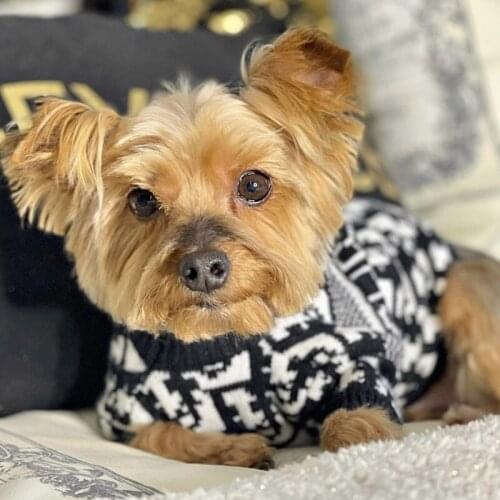 Fashion brand French Pet Dog Dog Clothes Dog Sweater Knitwear Pet Knitting Shirt Classic Fashion Pet Dog Clothes Plaid clothes
