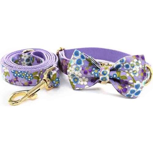 Free engrave name fabric nylon bow ID dog collar leash bowknot pet product straps custom metal hardware zinc alloy traction rope