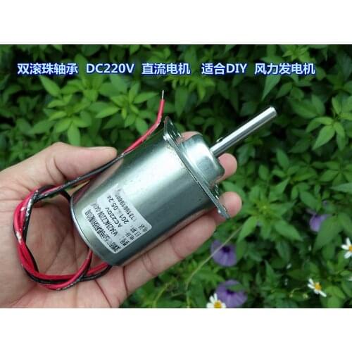 Double ball bearing DC220V 3000 rpm DC motor Suitable for DIY wind turbine