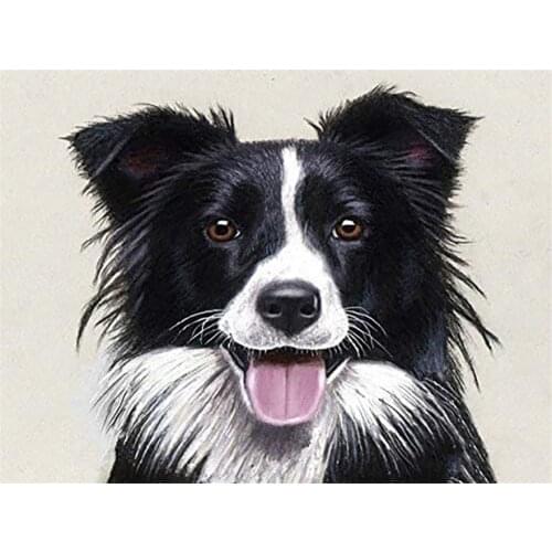 Animal Border Collie DIY Cross Stitch Embroidery 11CT Kits Needlework Craft Set Printed Canvas Cotton Thread Home Wholesale
