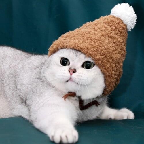 Christmas Hand-knitted Cute Christmas Hat Pet Clothing Cat Hat Crossover Hat Small Dog Headgear