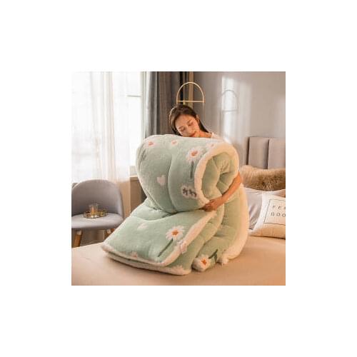 New Thicken and Warm Autumn and Winter Quilt for Students and Adults In Winter Quilt Skinfriendly Bedding Quilt or Mattress