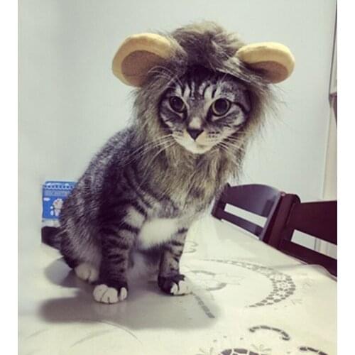 Funny Costume Lion Mane Cap Hat For Cat Dog Pet Small Dog Cat Halloween Headgear Fancy Dress With Ears Pet Clothes 2021 Hot