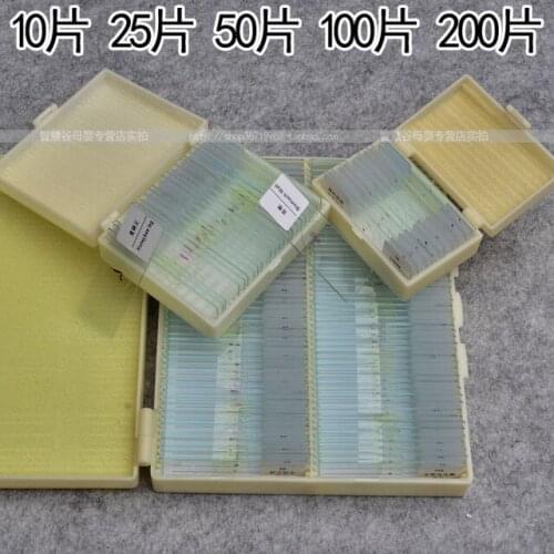 Biological section slide microscope animal and plant silde 100 pcs set
