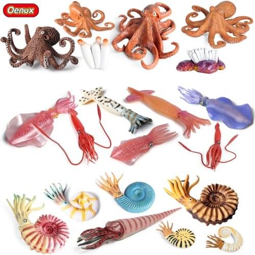 Oenux Classic Sea Life Mollusk Model Simulation Squid Nautiloidea Octopus Growth Cycle Action Figure Ocean Animals Set Kids Toy