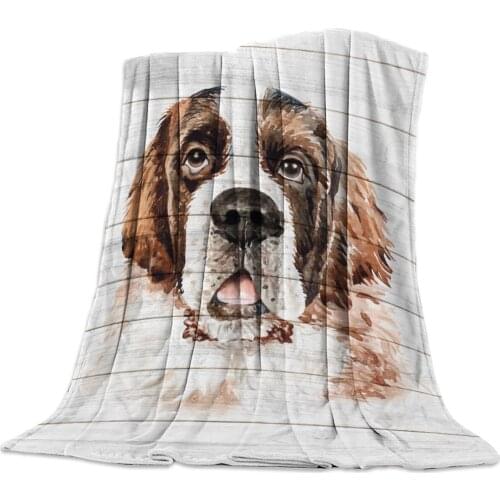 St. Bernard Pet Dog Pirate Dog Wood Plank Texture Coral Fleece Fuzzy Blankets on Bed Throws Bedsheet for Kids Girls