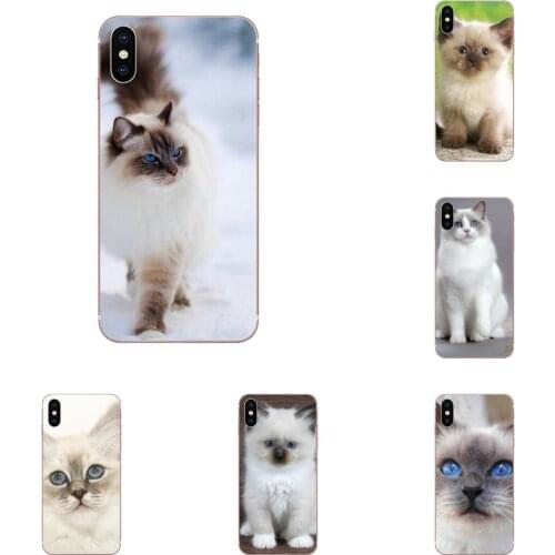 TPU Cases Covers Lovely Ragdoll Kitten Cat Pet For Samsung Galaxy Note 10 pro Plus Lite 9 8 5 4 3 M60s M40 M30 M30S M20 M10 M10S