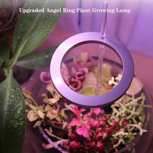 5V USB Plant Growing Lamp Full Spectrum 20 LEDs Growth Lighting Plant Grow Light for Indoor Phytolamp Flower Fleshy Fill Lights