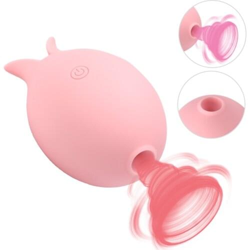 Clitoris Stimulator Tongue Licking Egg Nipple Vaginal Massager 2 in 1 Female Orgasm Masturbator Clit Sucking Vibrator 10 Speeds