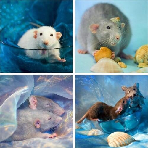 HUACAN Full Square/Round Drill Diamond Painting Mouse 5D DIY Diamond Embroidery Animal Mosaic Picture Home Decor Craft Kit