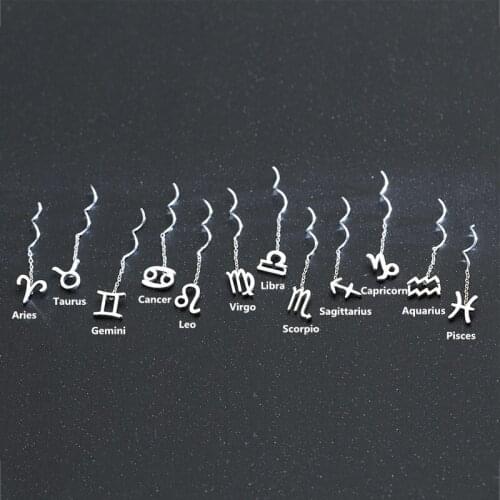 Zodiac Earrings Constellation Signs S925 Silver 12 Constellation Jewelry Women